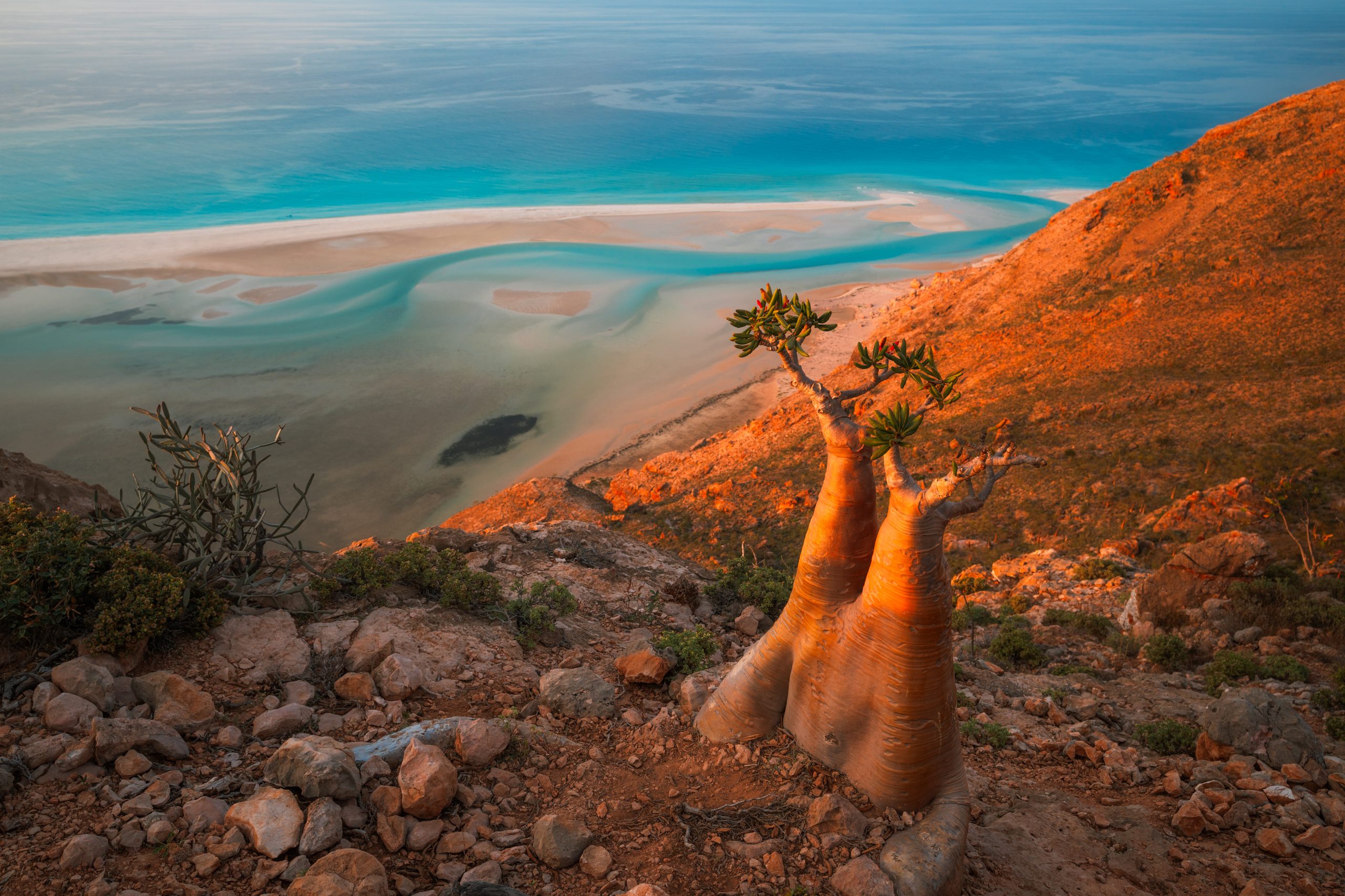 Socotra Packing List: How to Prepare